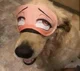 Dog anime Tyan 