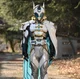 Kamen Rider Zein