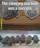 Cloning machine