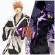 Ichigo vs SungJinwoo