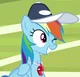 Rainbowdash