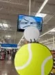 Golf ball looks cctv