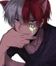 Neko Shoto