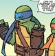 IDW Leonardo 