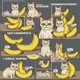 Banana cat
