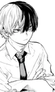 Shoto Todoroki 