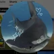 Sharky