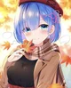 Rem -UA BR-