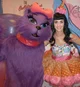 katy perry