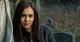 Elena Gilbert 