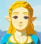 Zelda BOTW