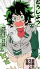 Izumi midoriya 