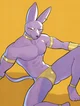 Beerus Yaoi 