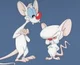 Pinky and the Brain