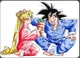 Usagi and Goku