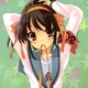 Yandere Haruhi