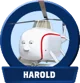 TTTE - Harold