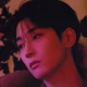 Wonwoo 