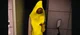 The Banana