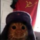 Cat from the USSR