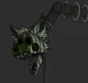 Phantom Mangle