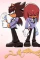 SHADOW AND KNUCKLES 