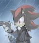 Shadow The Hedgehog