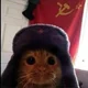 Gato comunista 