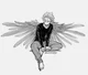 Hawks 
