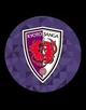 Kyoto Sanga FC