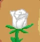 PMD White Rose RP