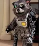 Cyborg Raccoon Rc