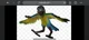Evil Mollie macaw