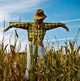 Scarecrow