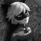 Chat Noir