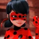 Ladybug 