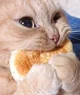 Waffles ex