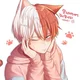 Cat Shoto Todoroki 