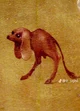 Doguinho