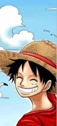 Luffy