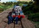 Gordon -Classic-