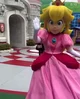 Princess Peach USH