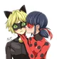 Ladybug n Chat Noir 