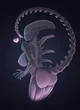 Female Xenomoroh