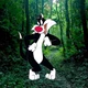 Sylvester The Cat