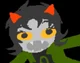 Nepeta Leijon