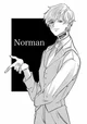 Norman-TPN