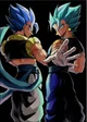 Vegito and Gogeta