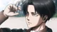 Levi Ackerman Br