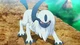 Absol